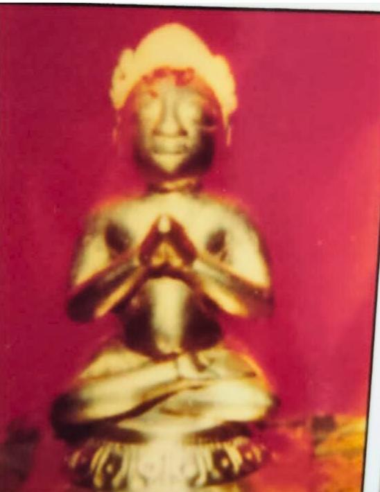 पातूर येथे श्री.नानासाहेब यात्रा महोत्सवाचे आयोजन