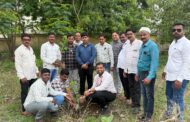 वाढदिवसानिमित्त वृक्षारोपणाचा अनोखा उपक्रम
