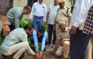 होमगार्ड समादेशक,तथा अपर पोलीस अधीक्षक बी.चंद्रकांत रेड्डी यांच्या वाढदिवसानिमित्त वृक्षारोपण